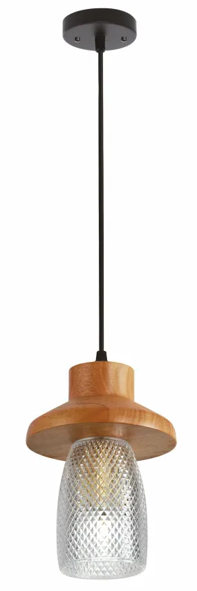 24180-2 Pendant Light in Black