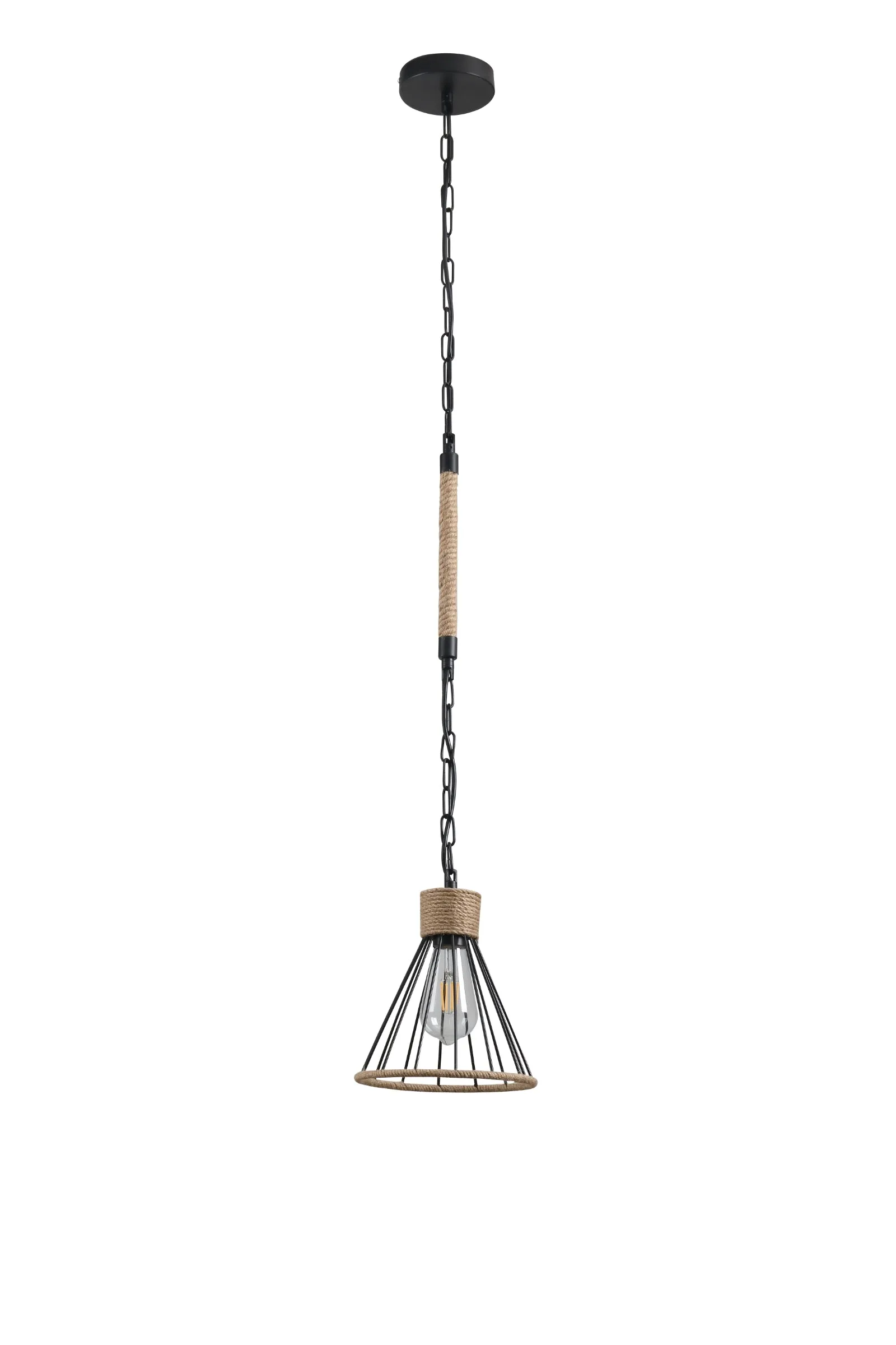 2675 Pendant Light in Black