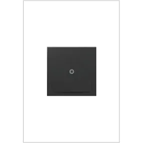 Adorne Switch