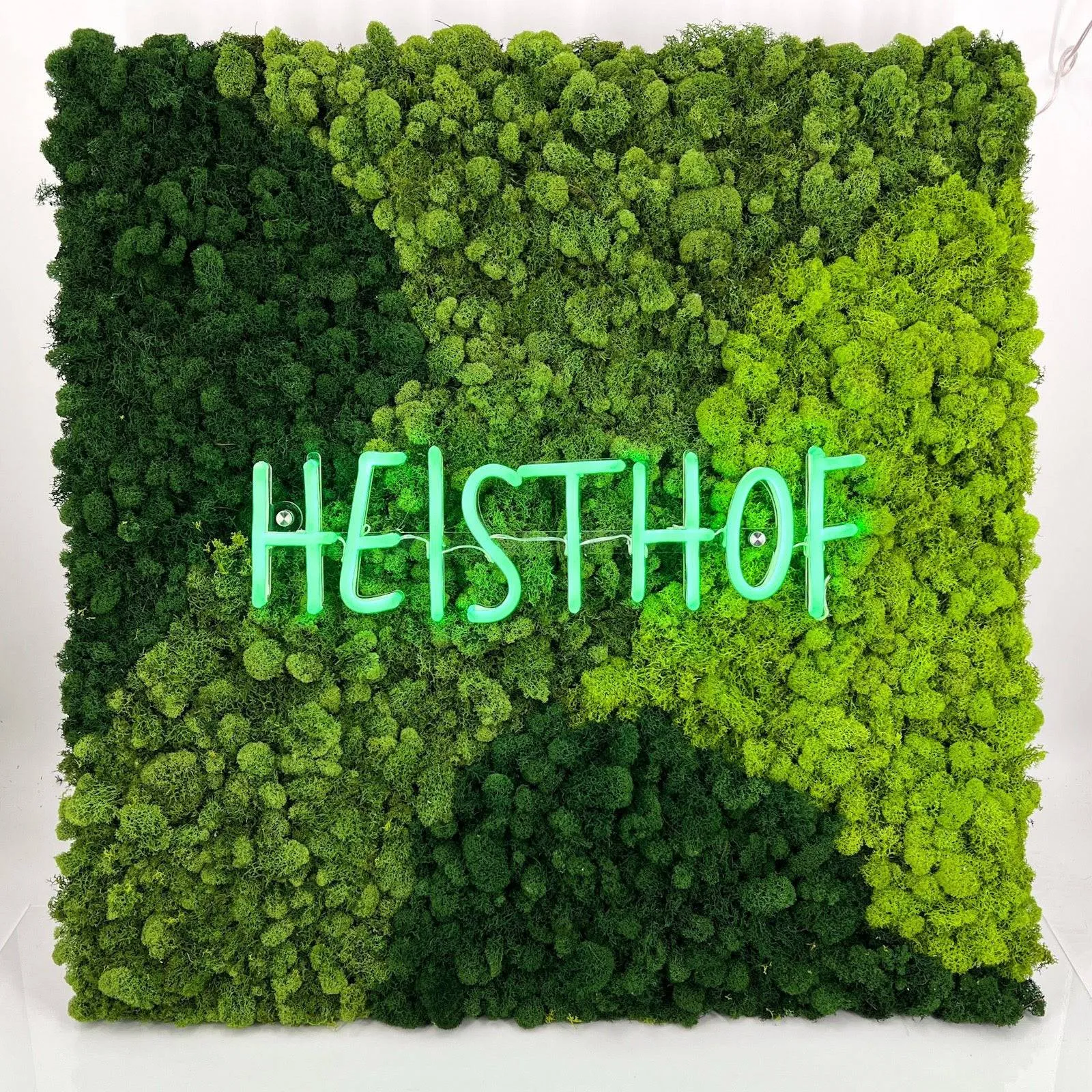 Customizable LED Neon Moss Art