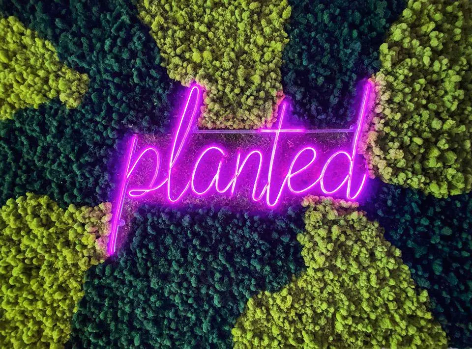 Customizable LED Neon Moss Art