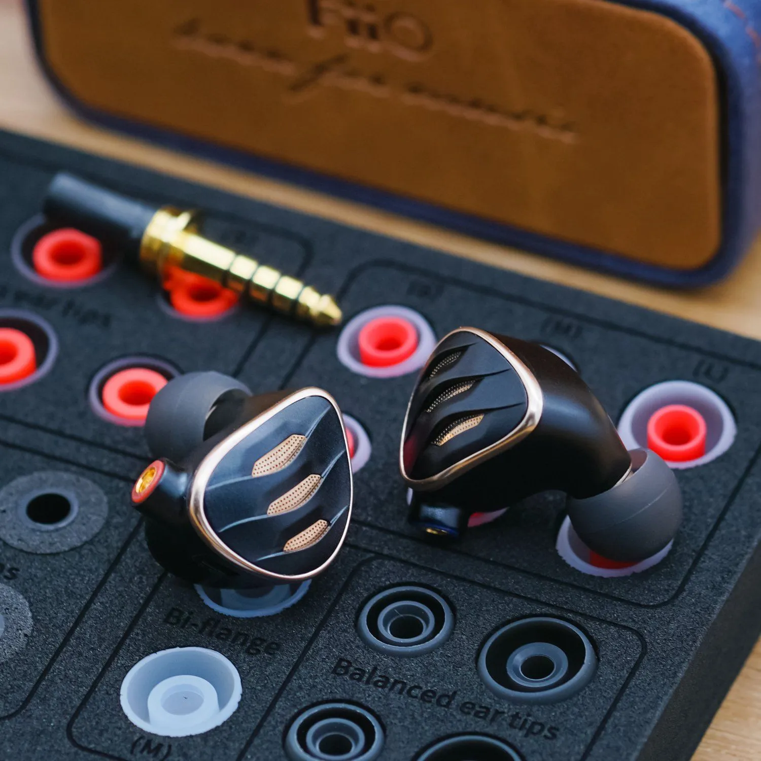 FiiO FH5s Pro 2BA   2DD Beryllium-Plated In Ear Monitors