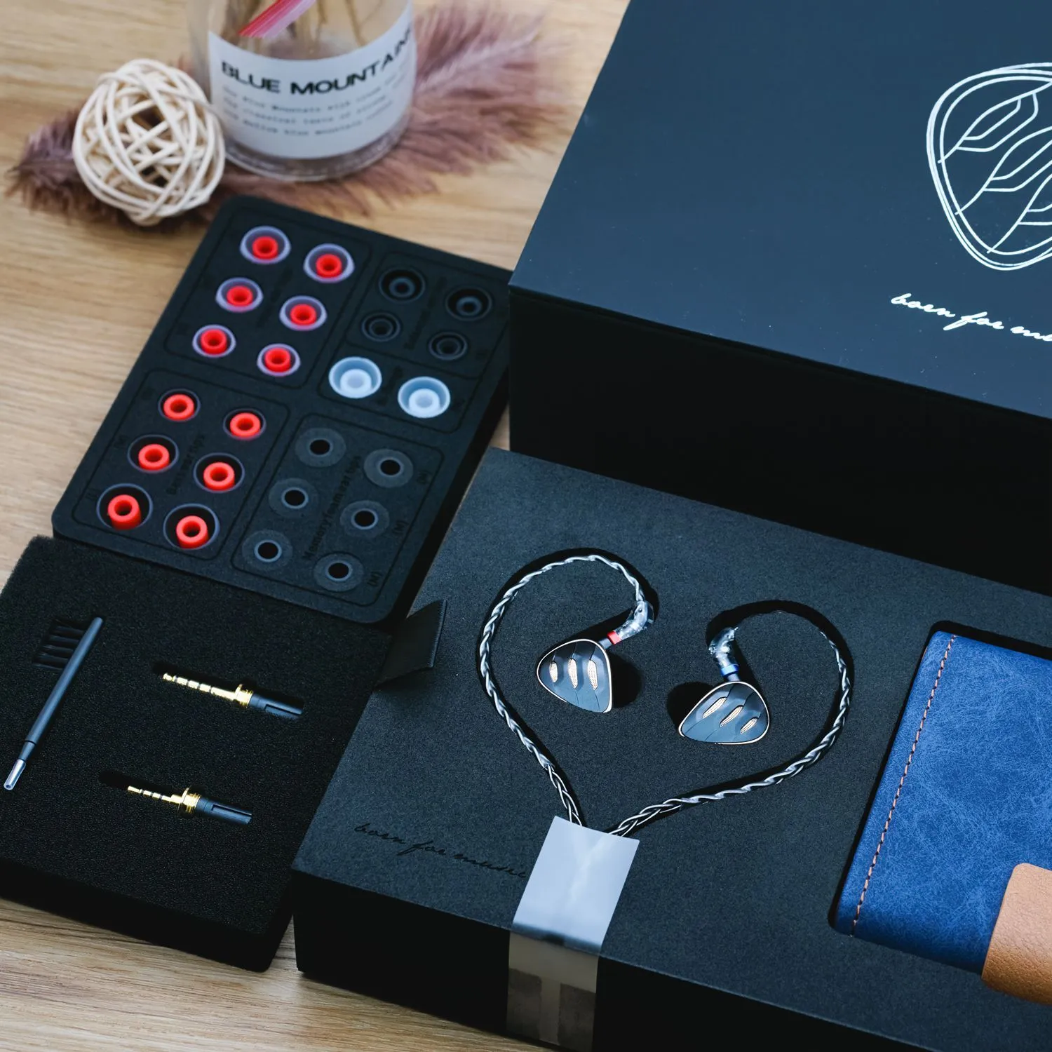 FiiO FH5s Pro 2BA   2DD Beryllium-Plated In Ear Monitors