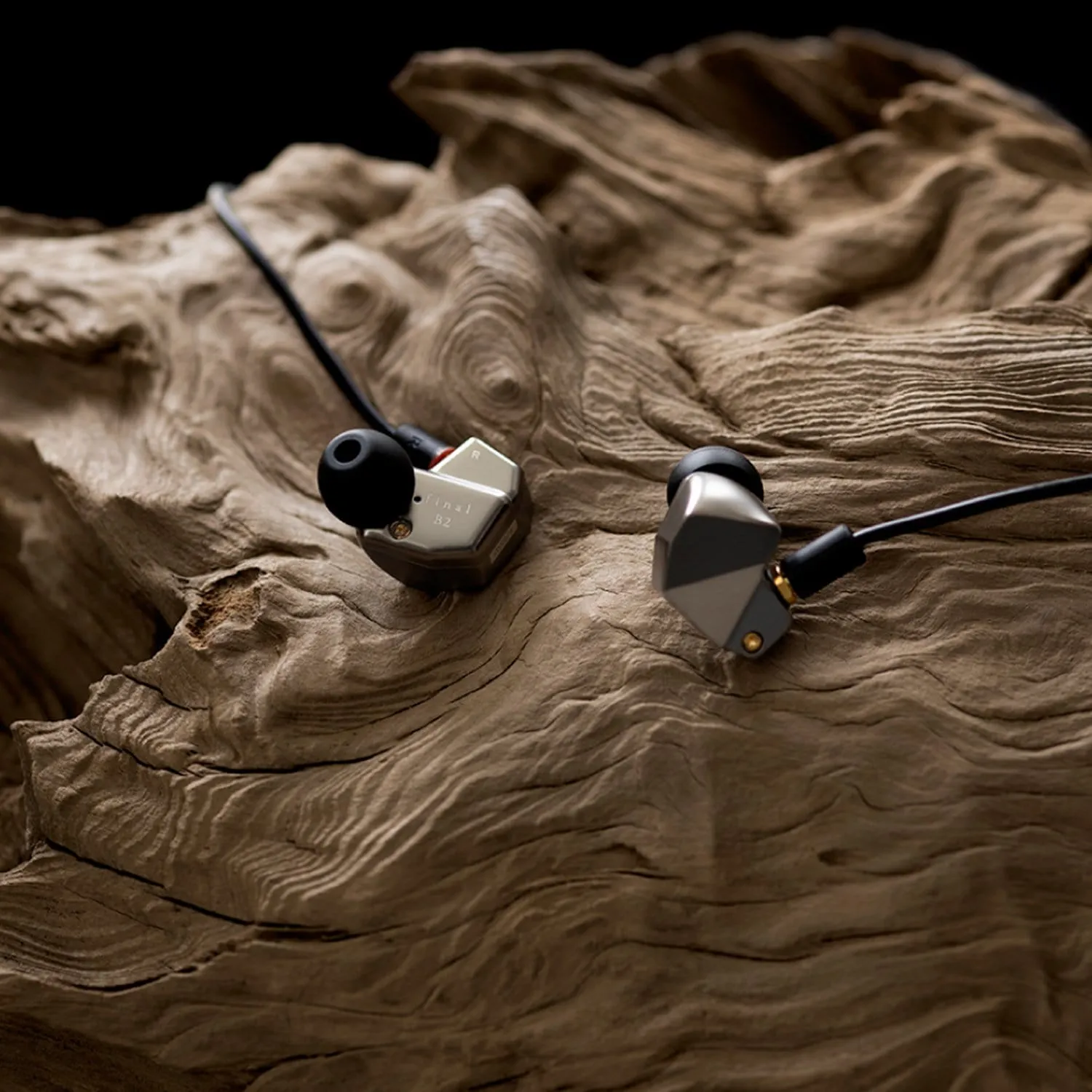 Final Audio B2 In Ear Monitors