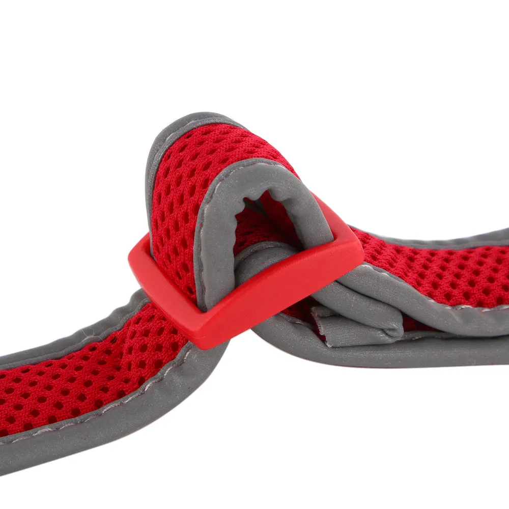 Illumidoggie LED Collar | Adventure Proof Collection