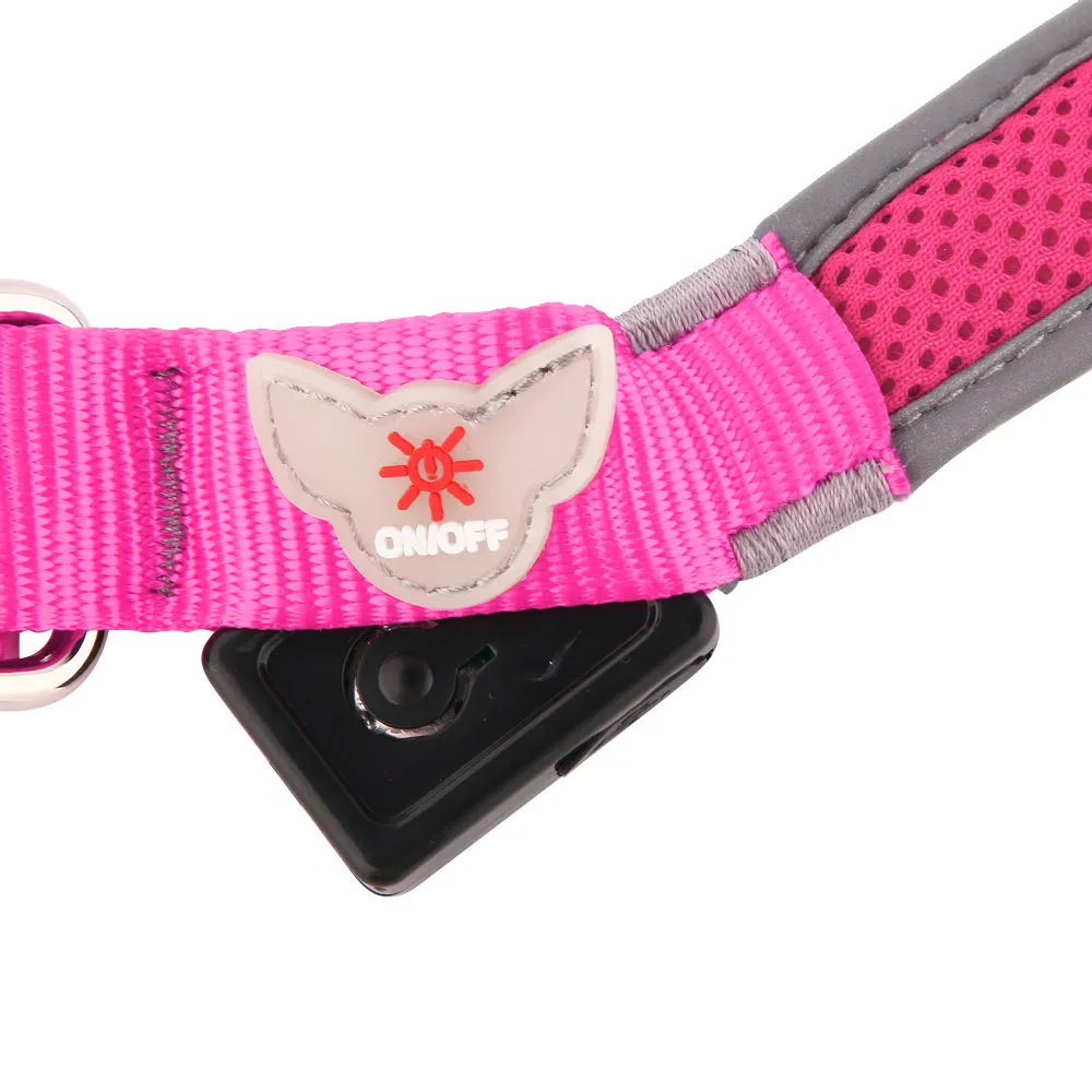 Illumidoggie LED Collar | Adventure Proof Collection