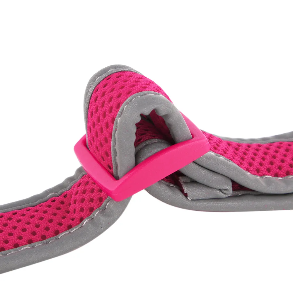 Illumidoggie LED Collar | Adventure Proof Collection