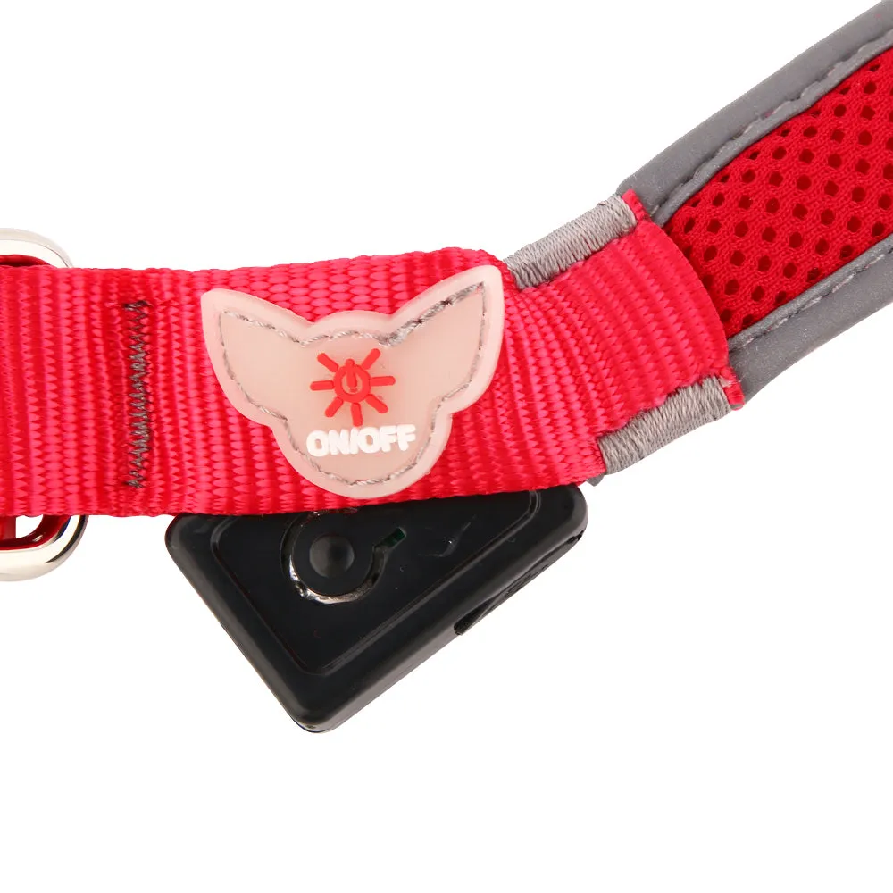 Illumidoggie LED Collar | Adventure Proof Collection