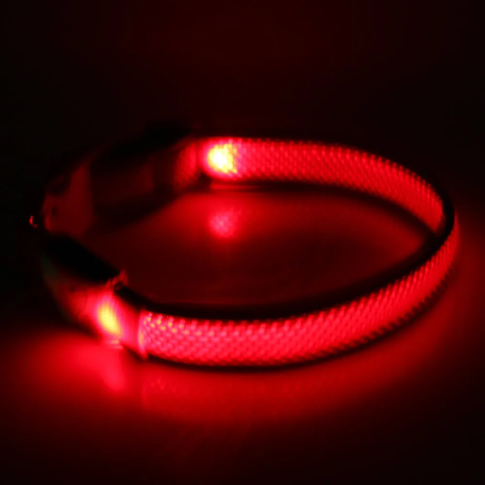 Illumidoggie LED Collar | Adventure Proof Collection