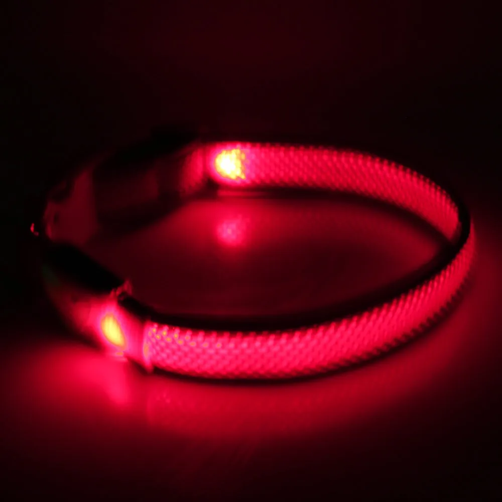 Illumidoggie LED Collar | Adventure Proof Collection