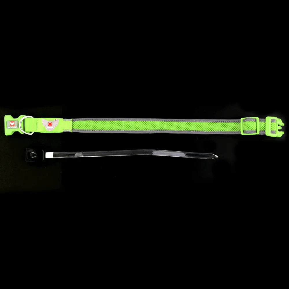 Illumidoggie LED Collar | Adventure Proof Collection