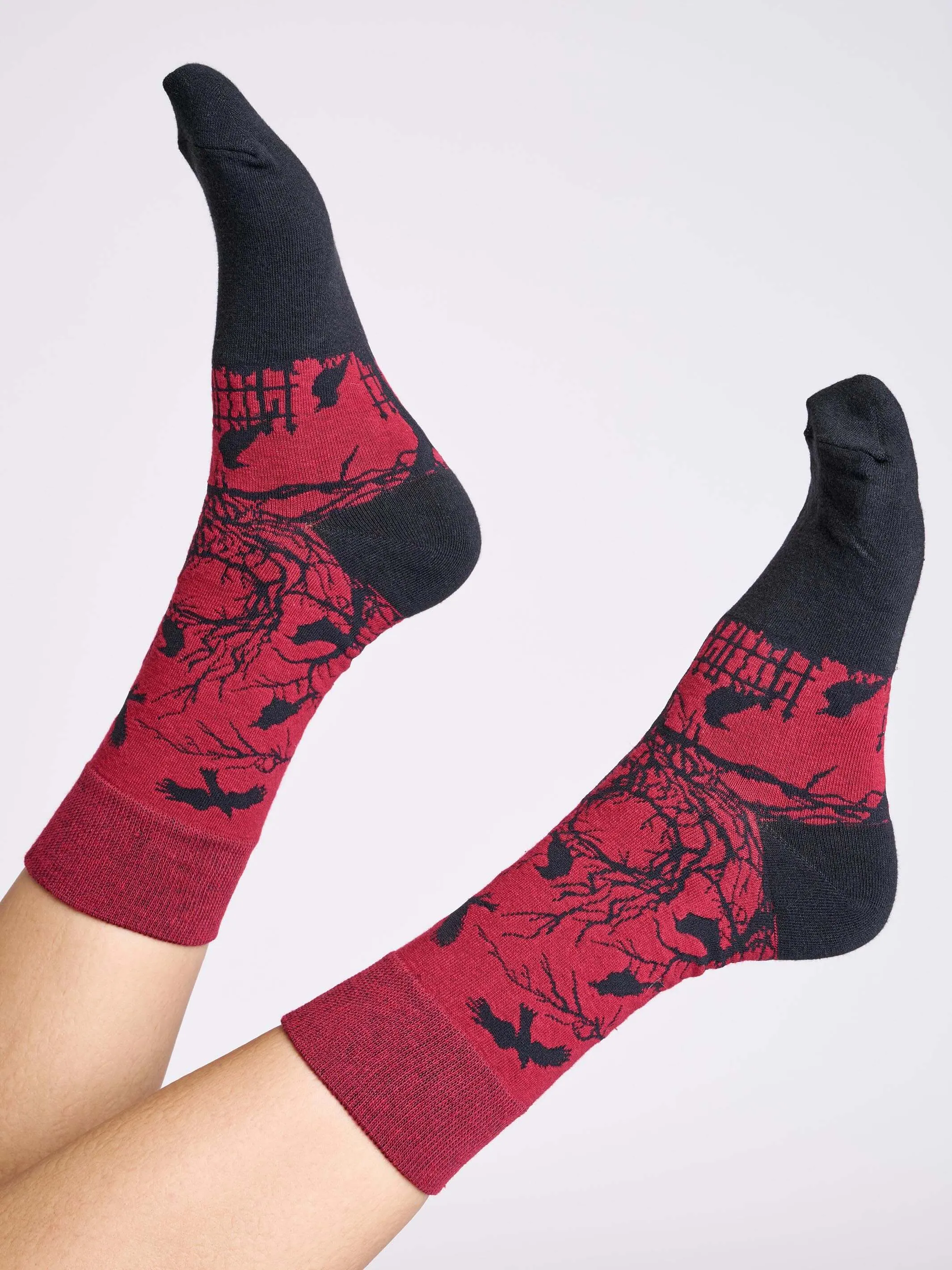 Murder of Crows Socks