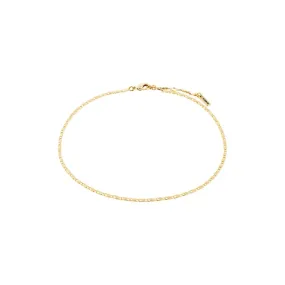 Parisa Recycled Ankle Chain