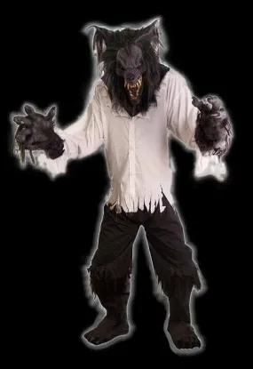 "Night Rage" HD Studios Costume